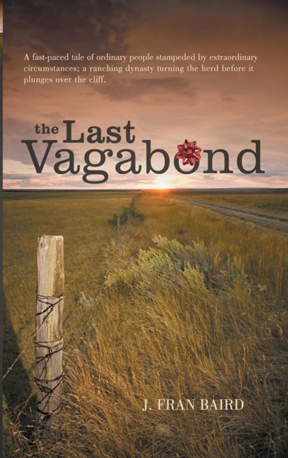 Big bigCover of The Last Vagabond