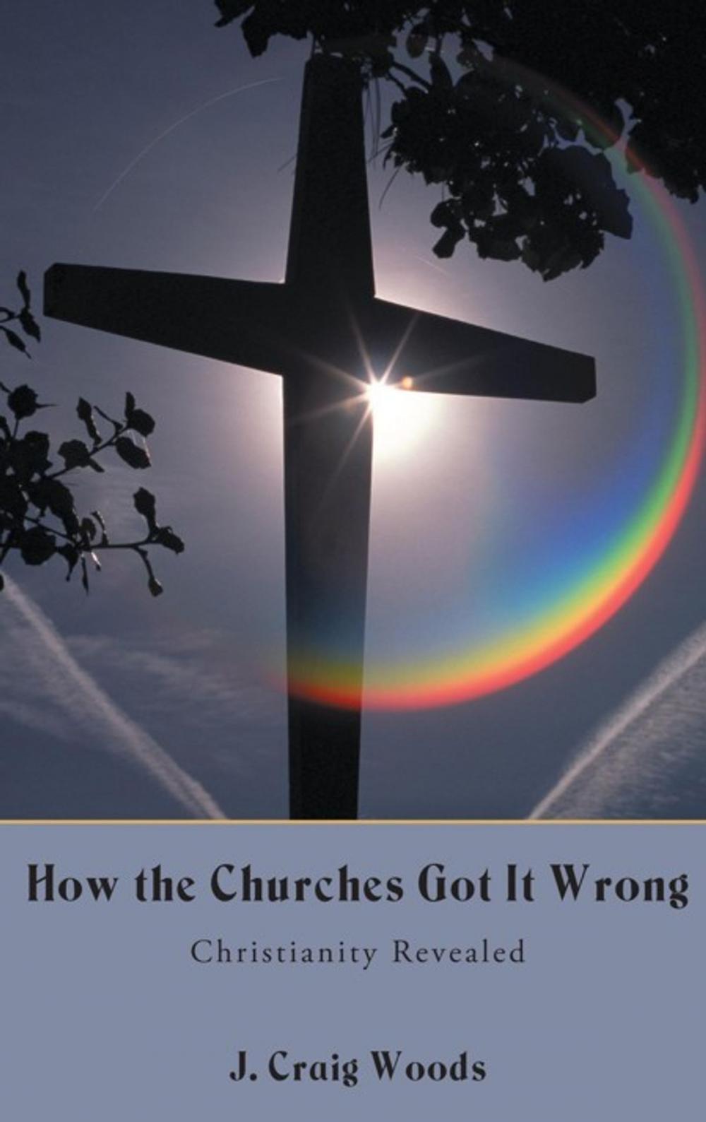 Big bigCover of How the Churches Got It Wrong