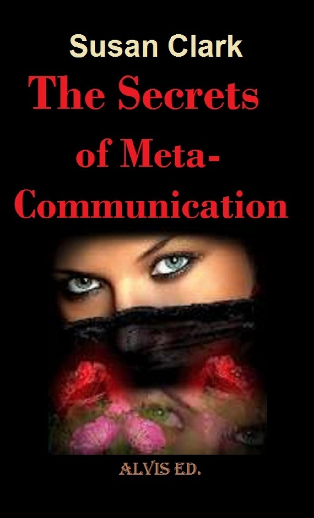 Big bigCover of The Secret of Meta-Communication