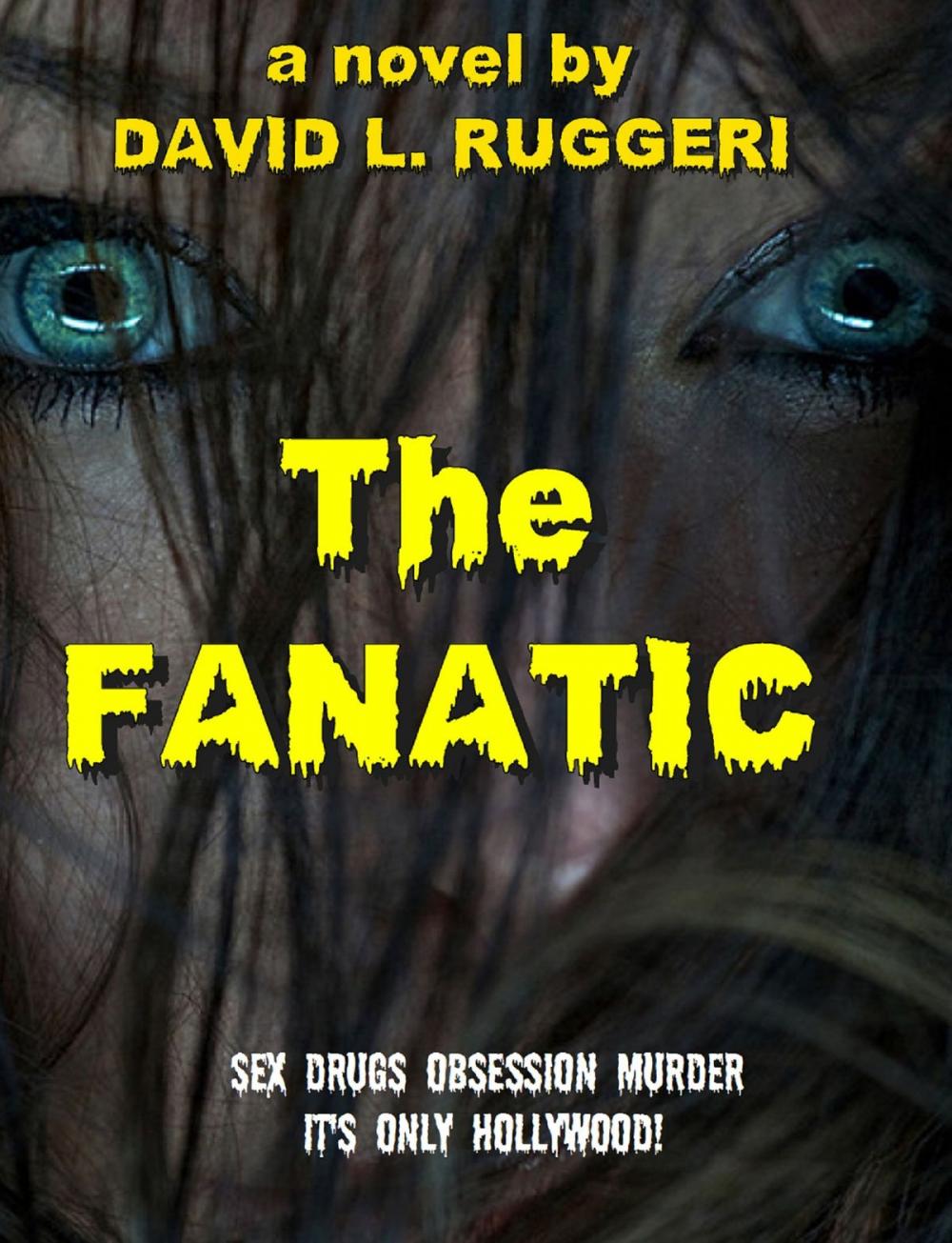 Big bigCover of The Fanatic