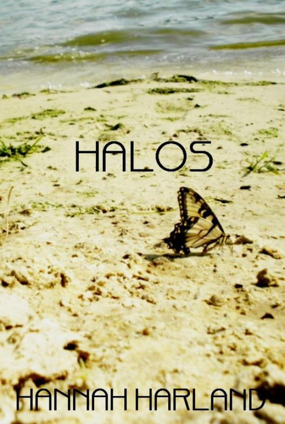 Big bigCover of Halos