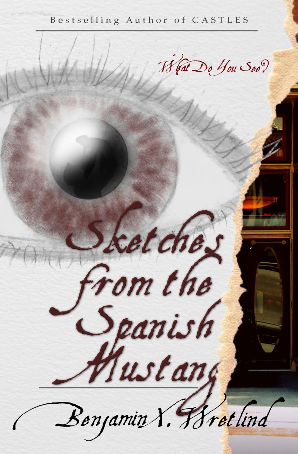 Big bigCover of Sketches from the Spanish Mustang