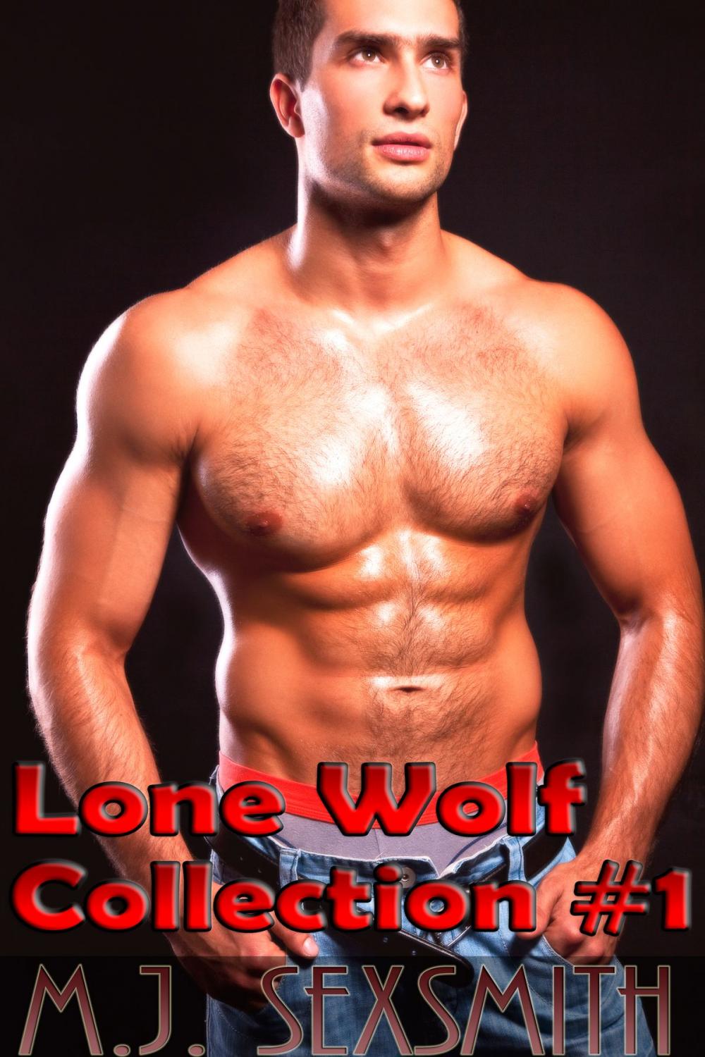 Big bigCover of Lone Wolf Collection #1