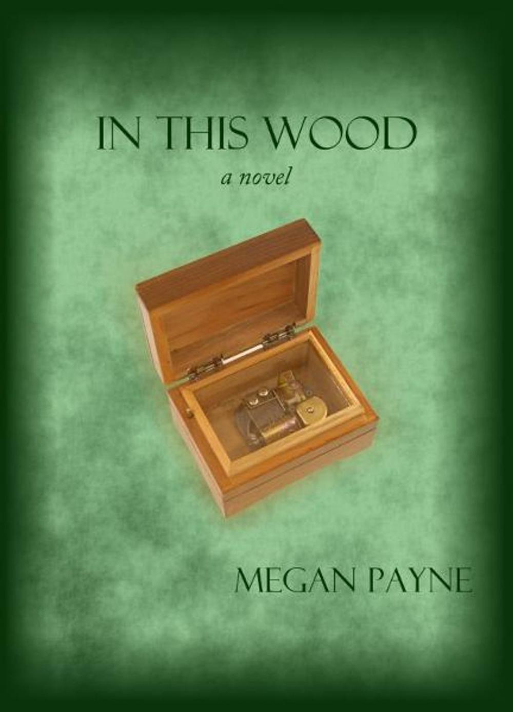 Big bigCover of In This Wood: a novel