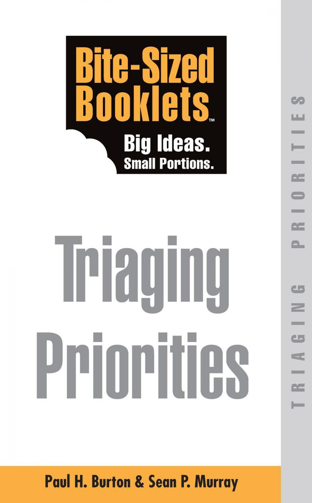 Big bigCover of Triaging Priorities: Bite-Sized Booklets