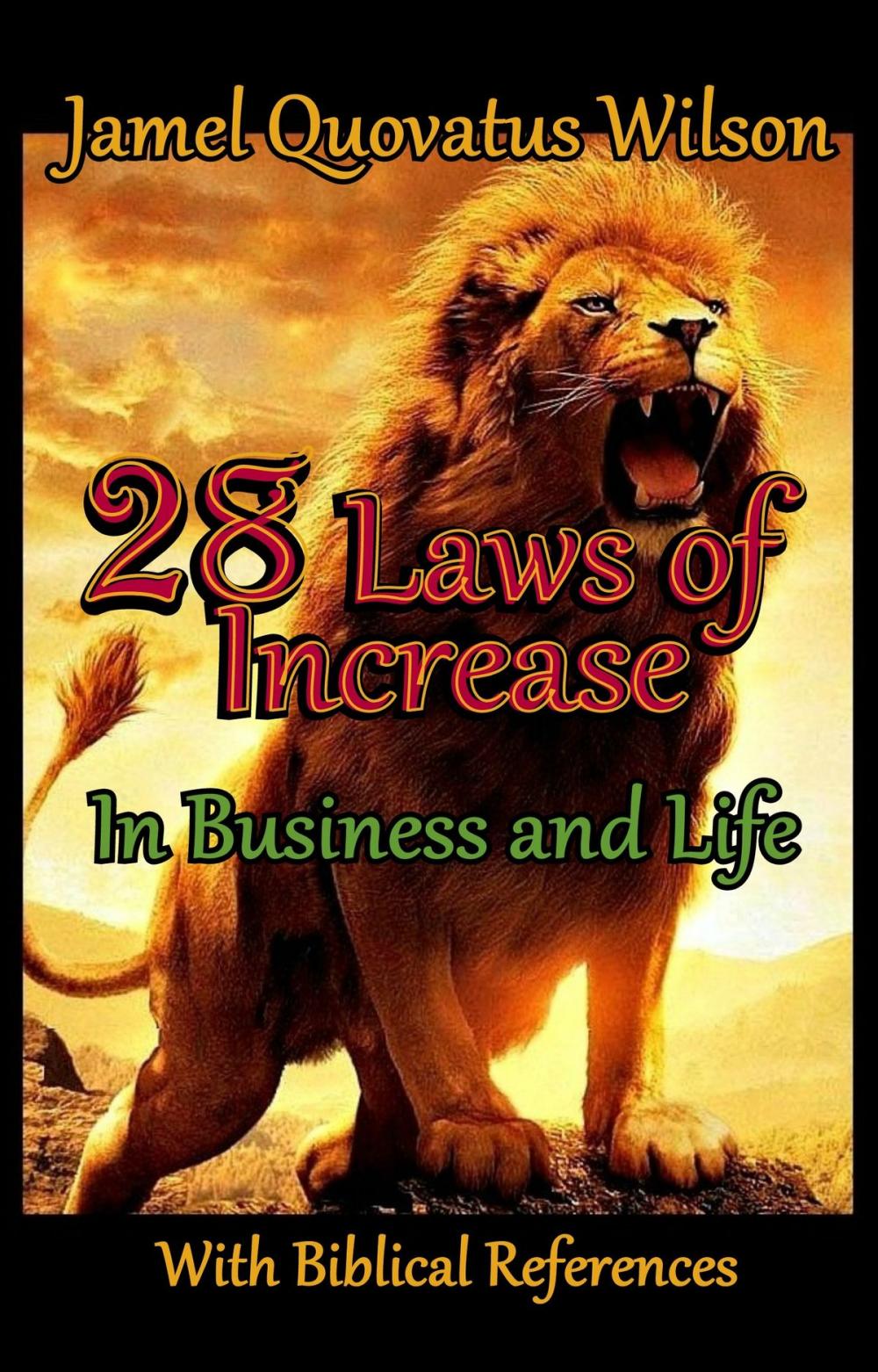 Big bigCover of The 28 Laws of Increase in Business and Life