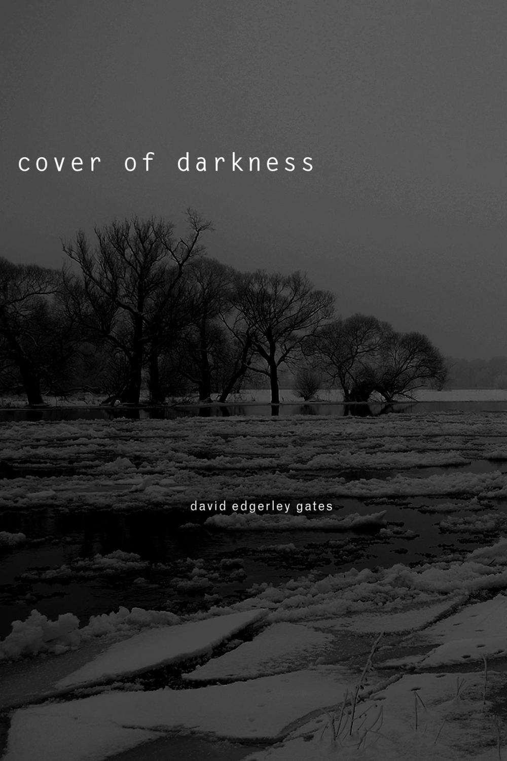 Big bigCover of Cover of Darkness