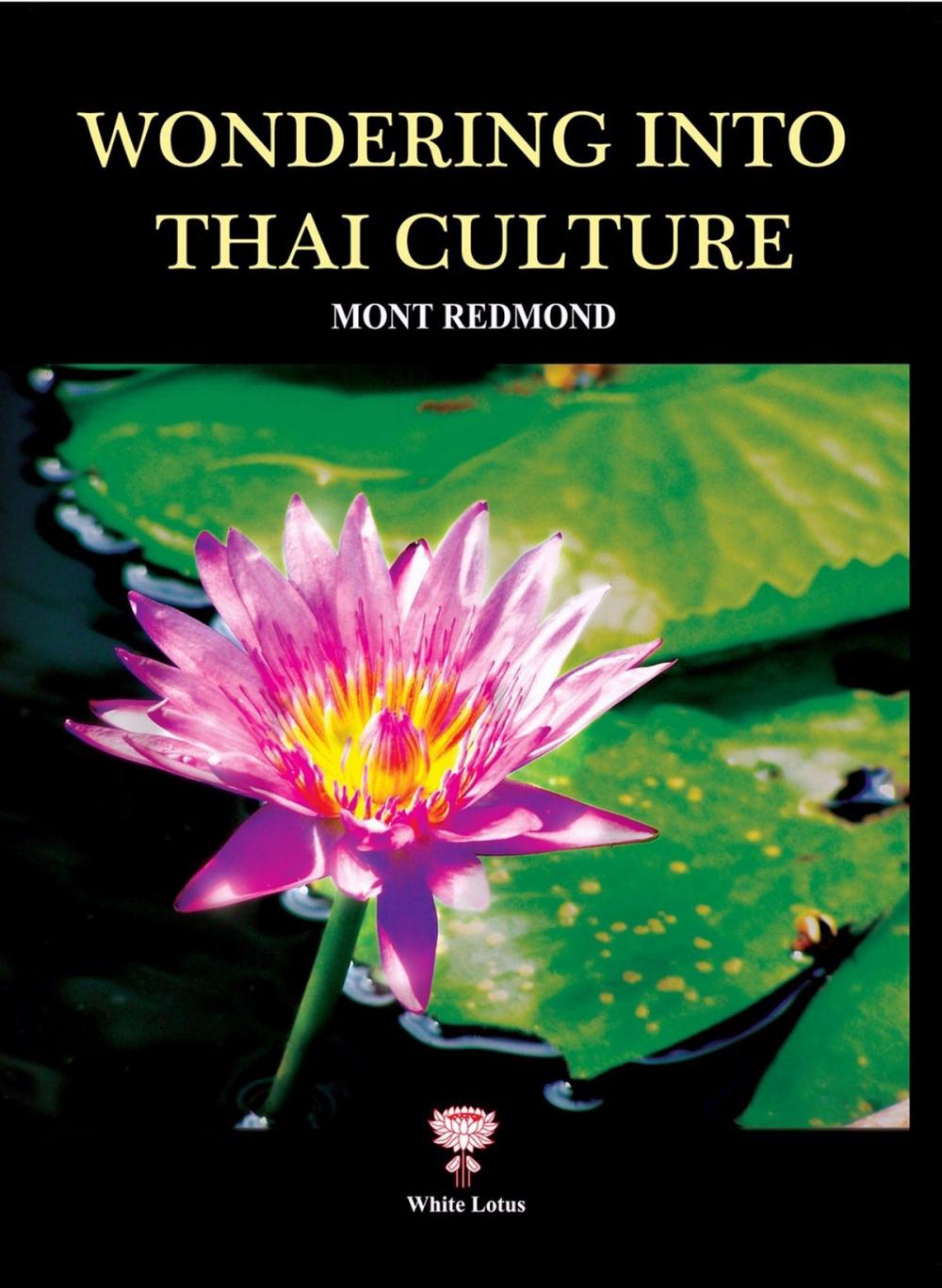 Big bigCover of Wondering into Thai Culture