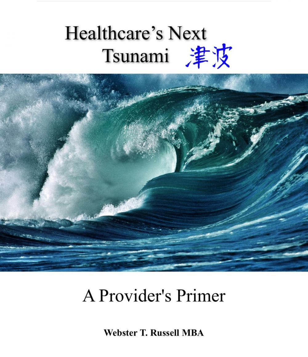 Big bigCover of Healthcare's Next Tsunami, A Provider's Primer
