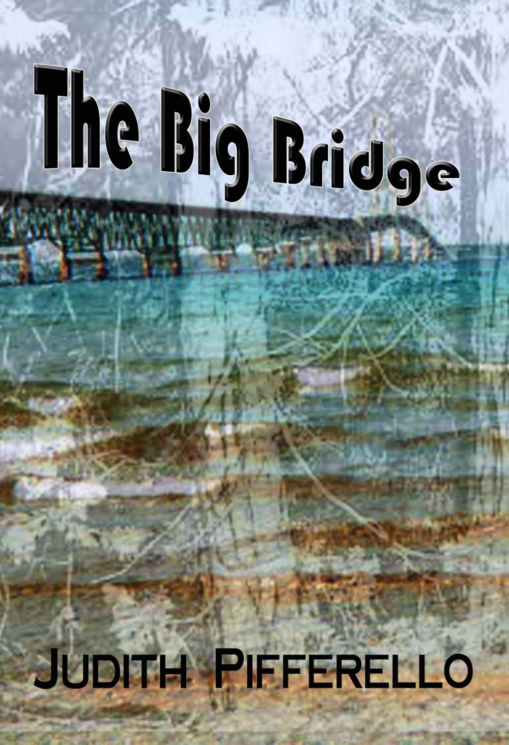 Big bigCover of The Big Bridge