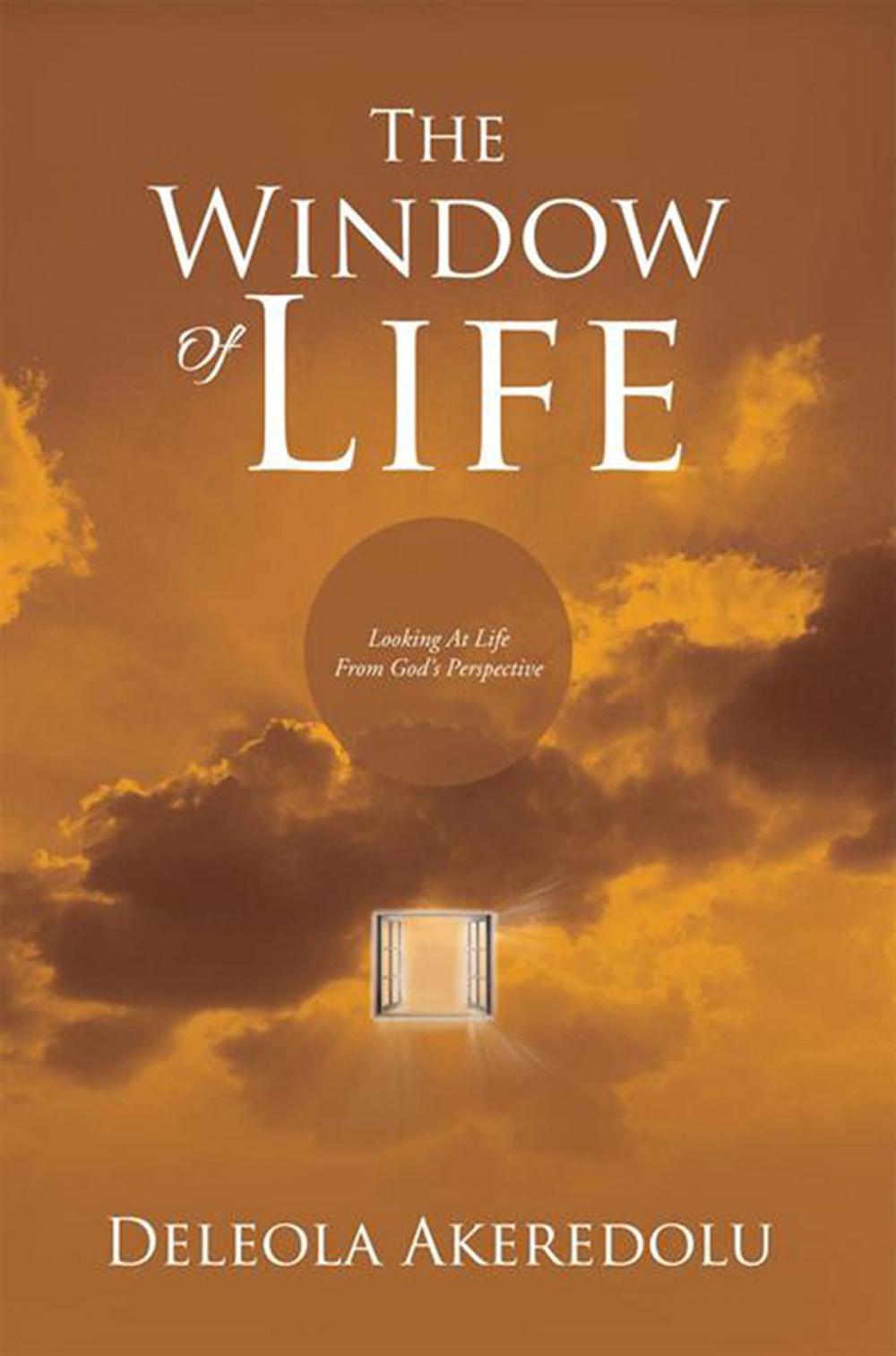 Big bigCover of The Window of Life