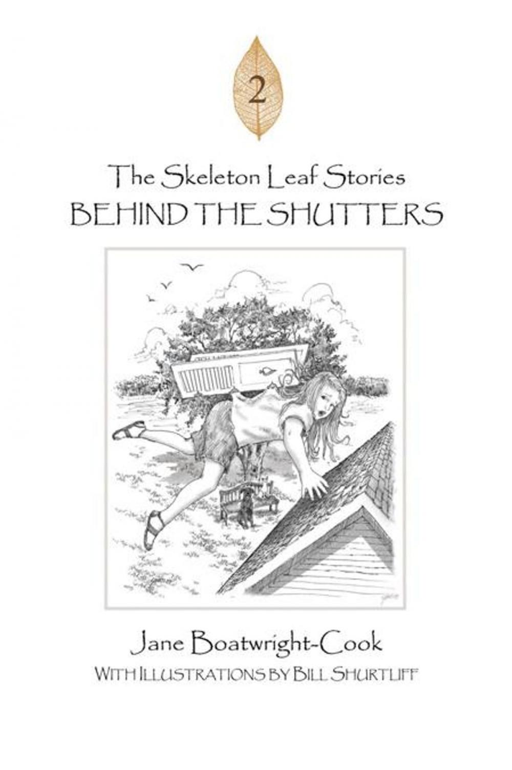 Big bigCover of The Skeleton Leaf Stories