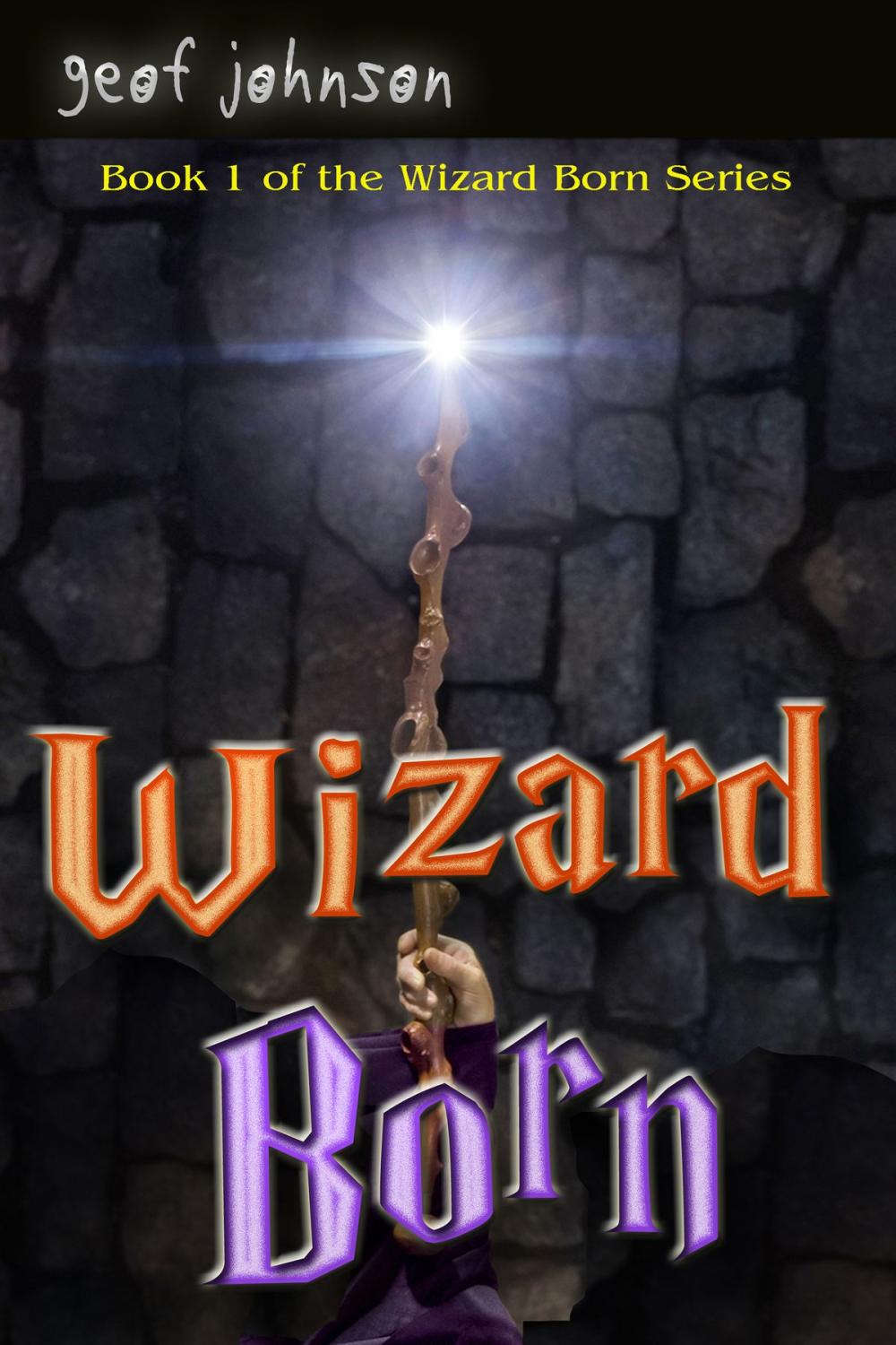 Big bigCover of Wizard Born