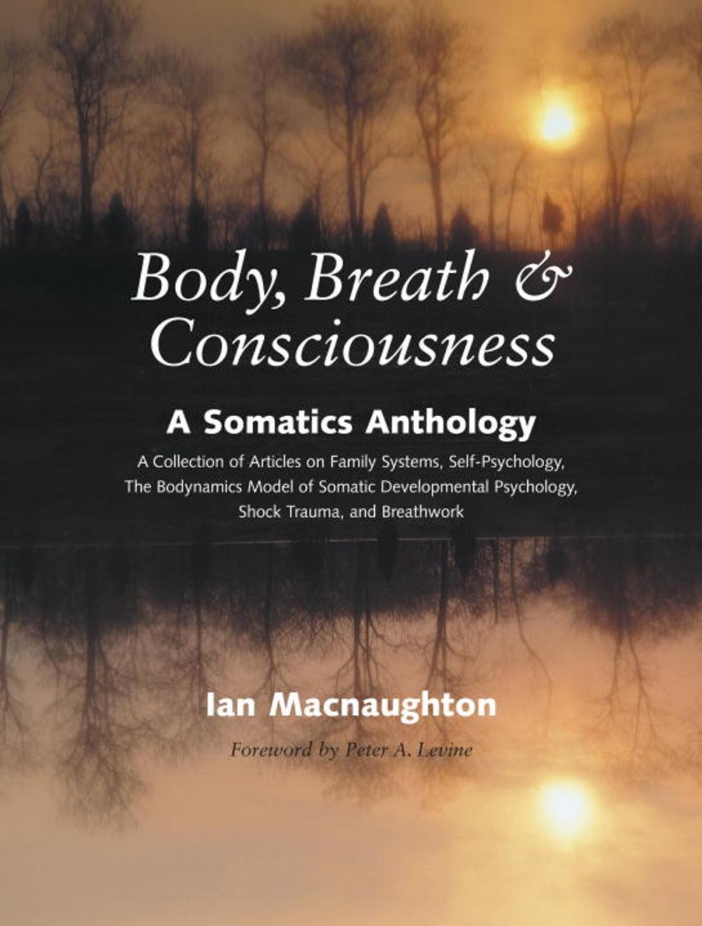 Big bigCover of Body, Breath, and Consciousness