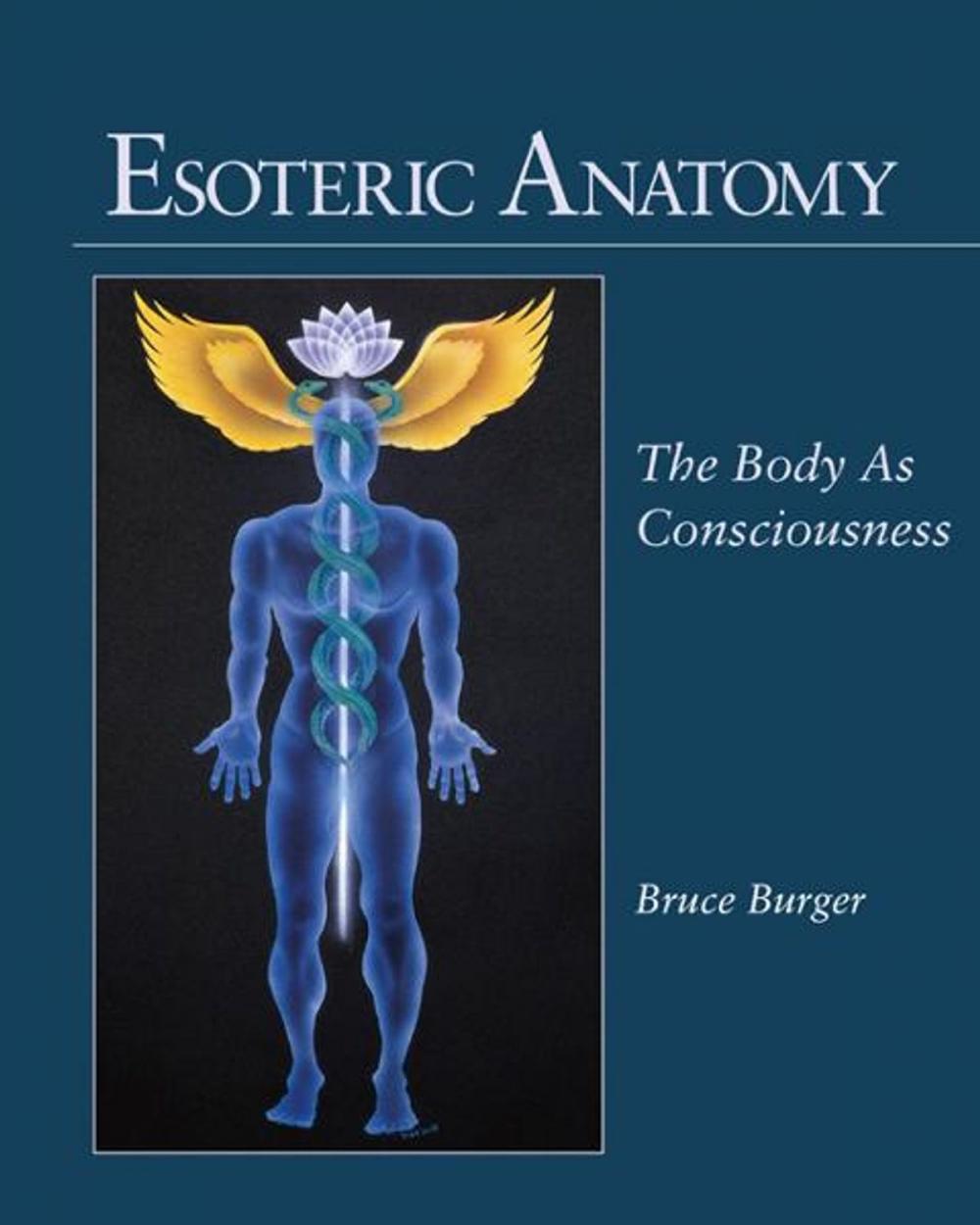 Big bigCover of Esoteric Anatomy