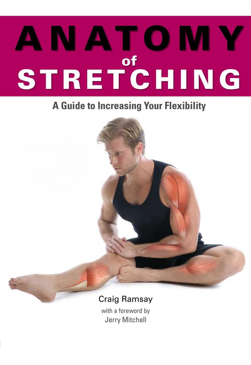 Big bigCover of Anatomy of Stretching