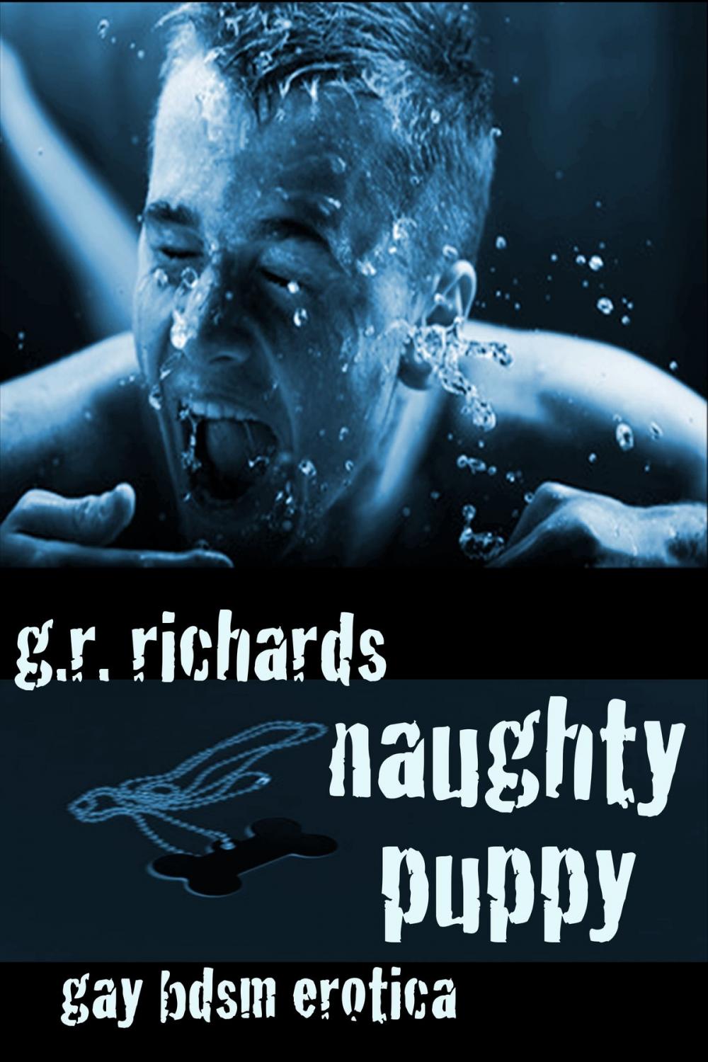 Big bigCover of Naughty Puppy: Gay BDSM Erotica