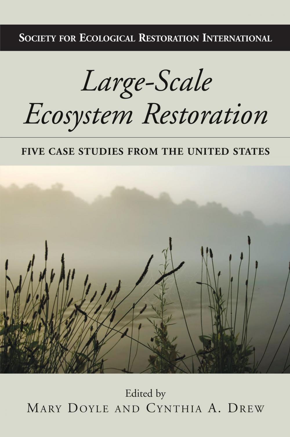 Big bigCover of Large-Scale Ecosystem Restoration