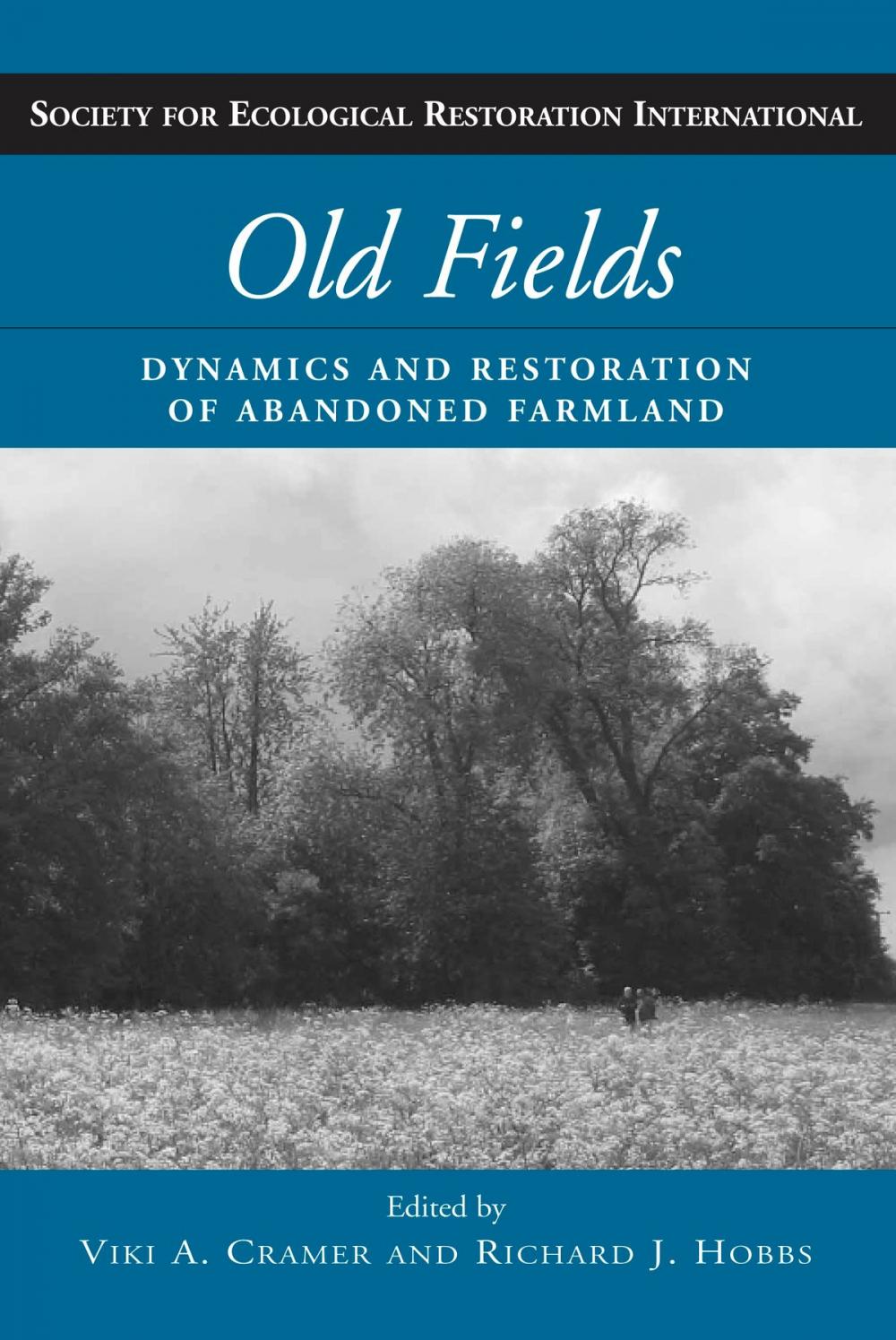 Big bigCover of Old Fields