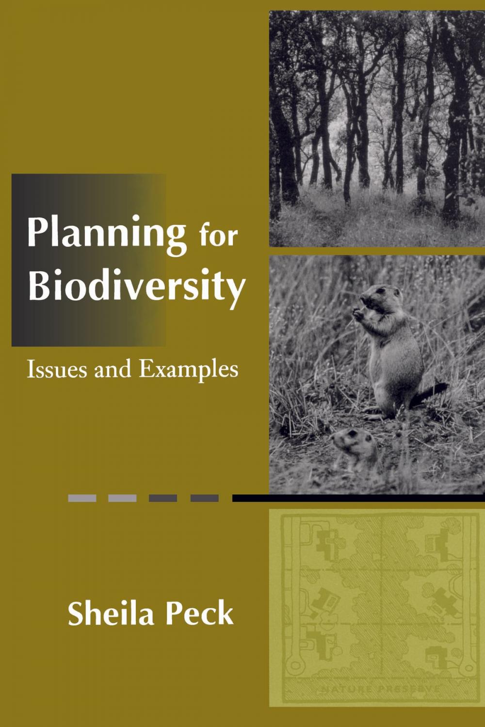 Big bigCover of Planning for Biodiversity