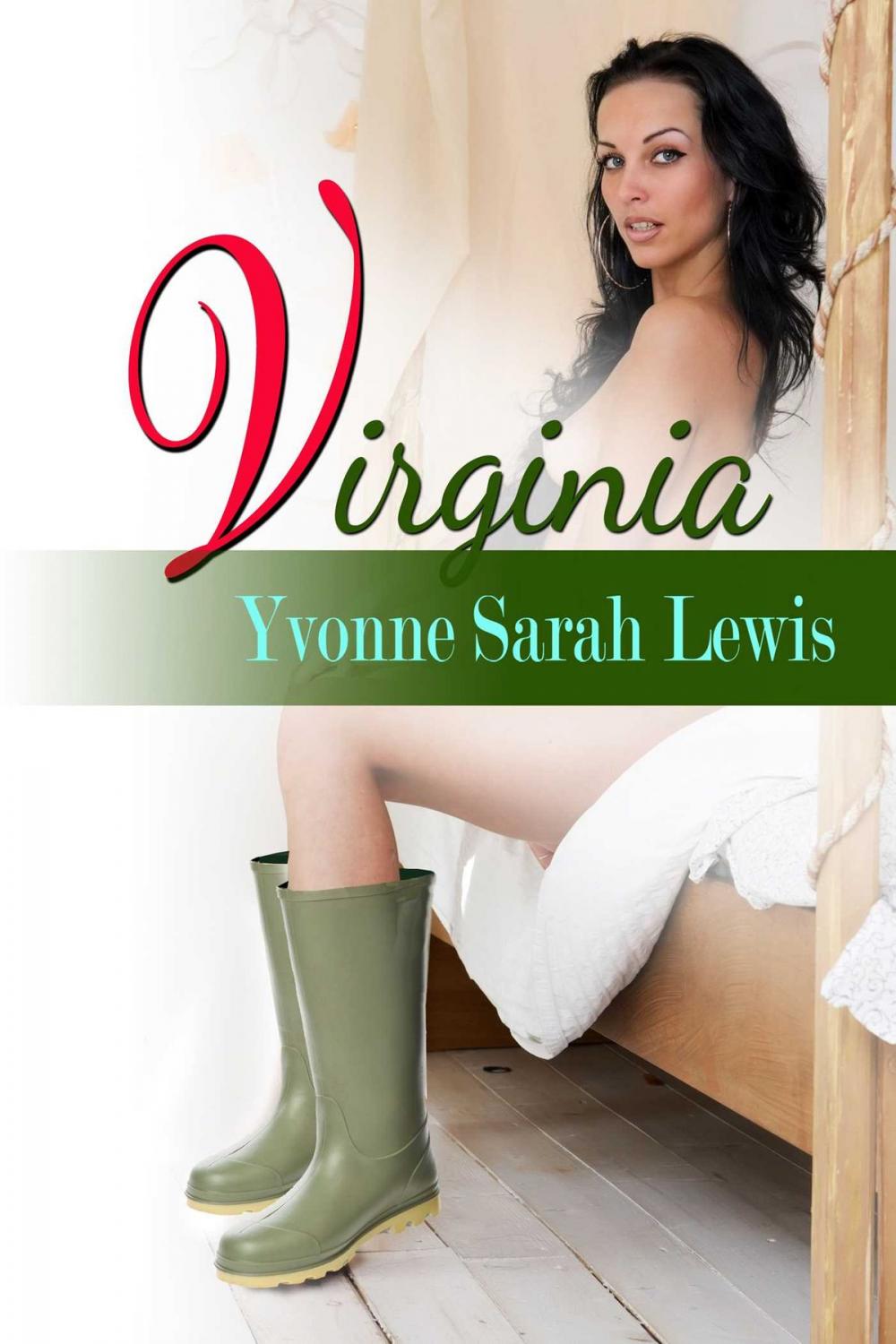 Big bigCover of Virginia