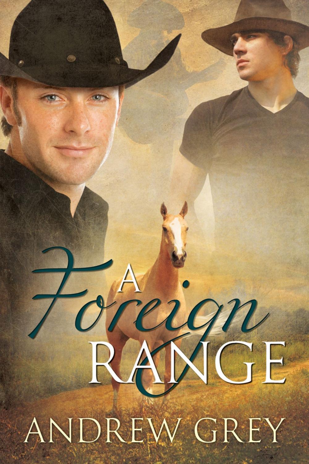 Big bigCover of A Foreign Range