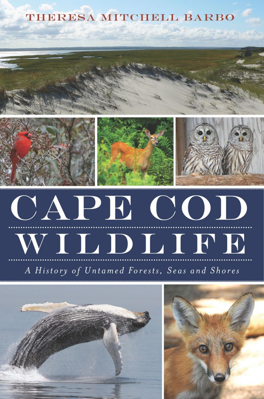 Big bigCover of Cape Cod Wildlife