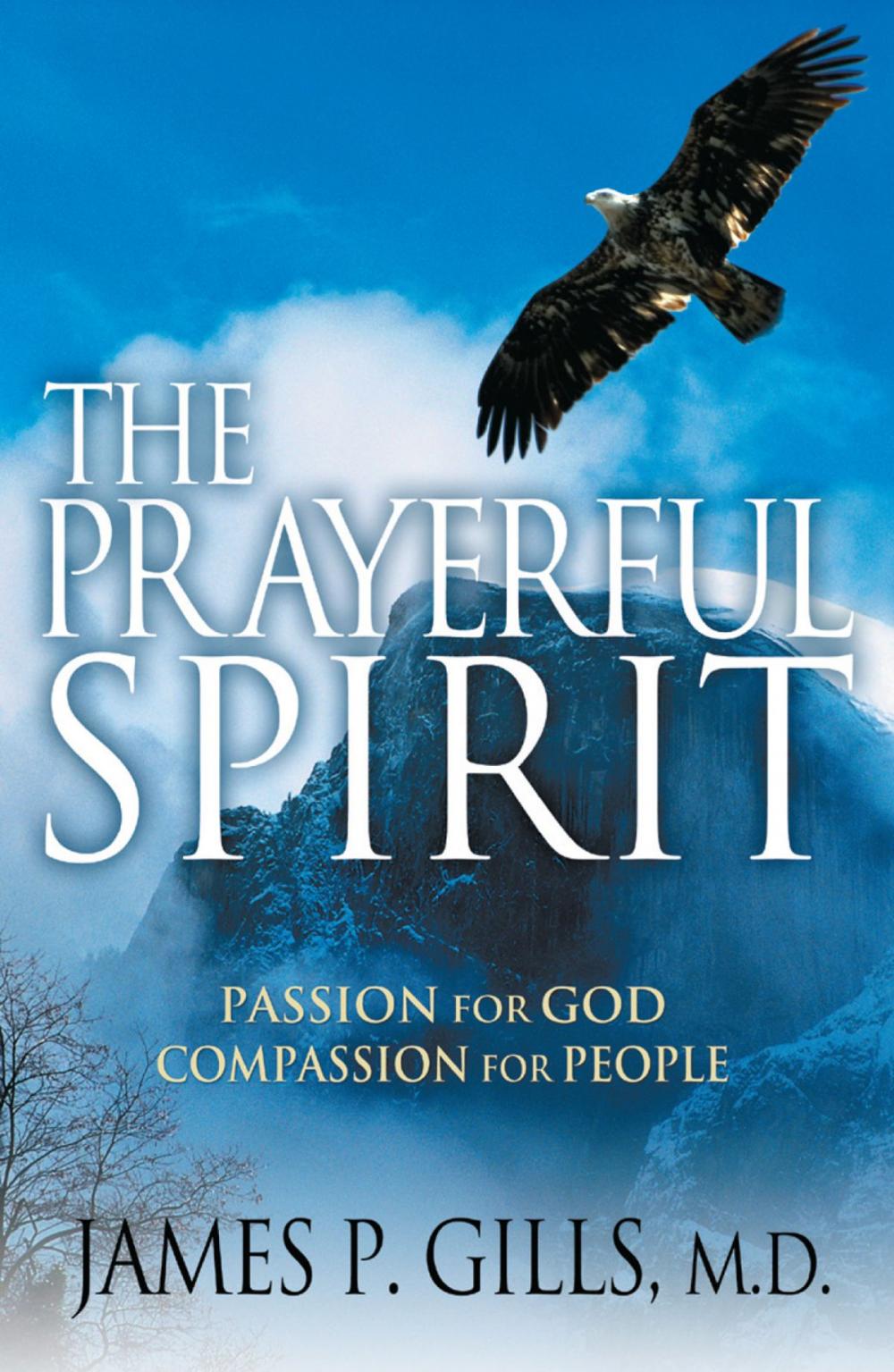 Big bigCover of The Prayerful Spirit