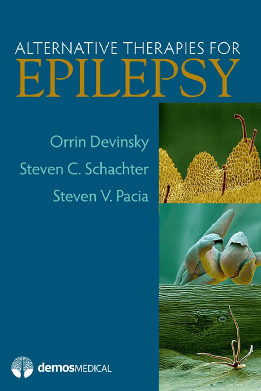 Big bigCover of Alternative Therapies For Epilepsy