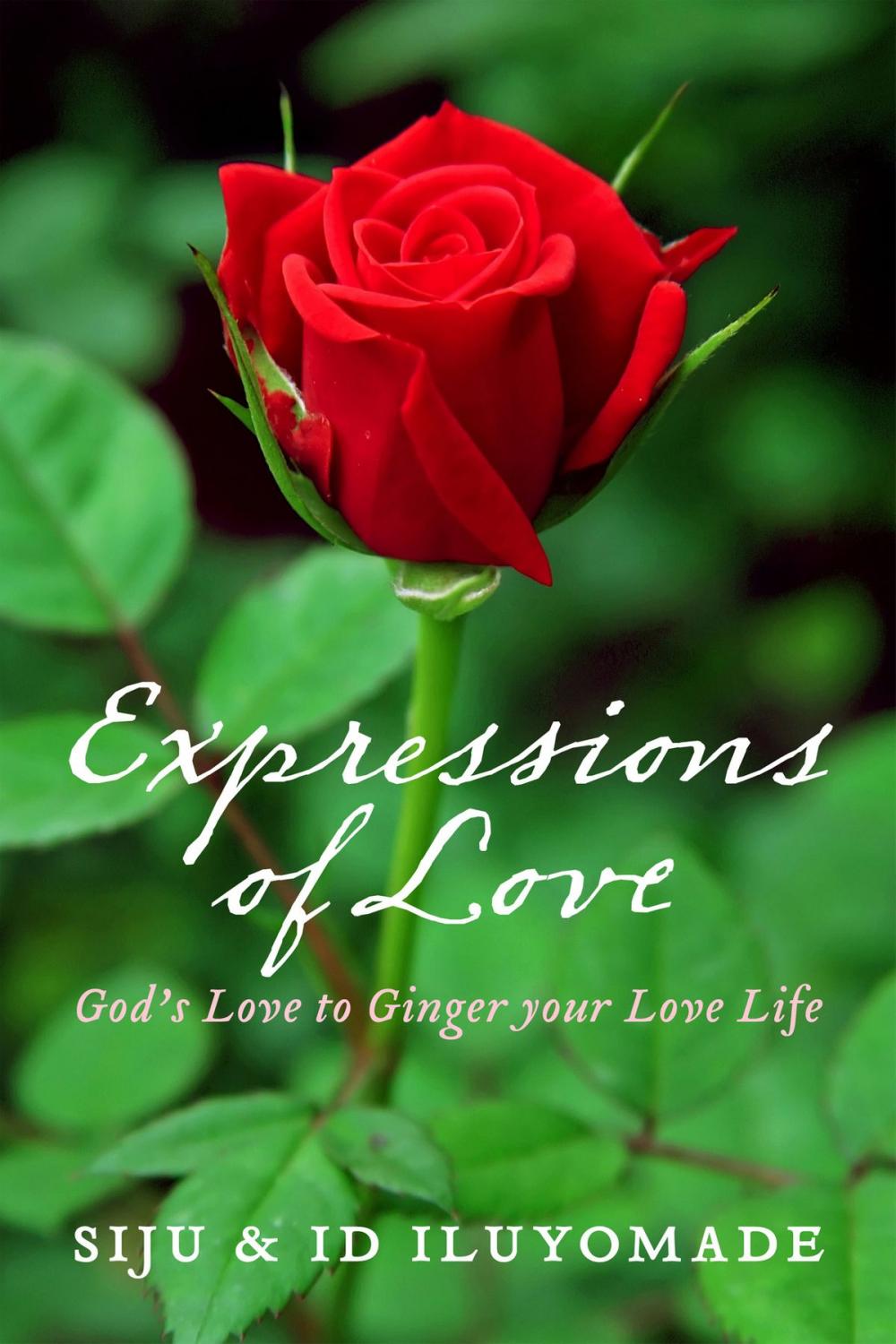 Big bigCover of Expressions of Love