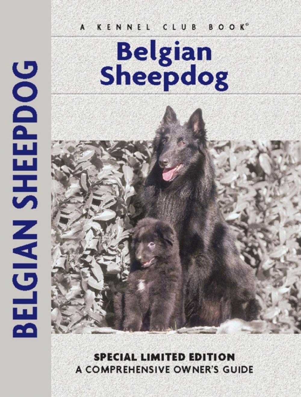 Big bigCover of Belgian Sheepdog