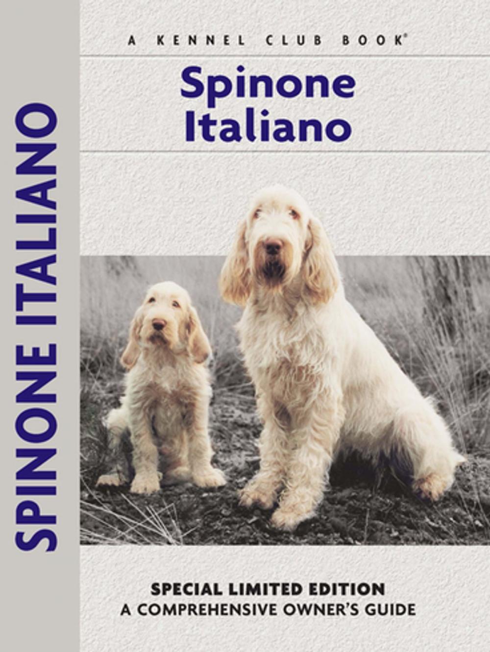 Big bigCover of Spinoni Italiano