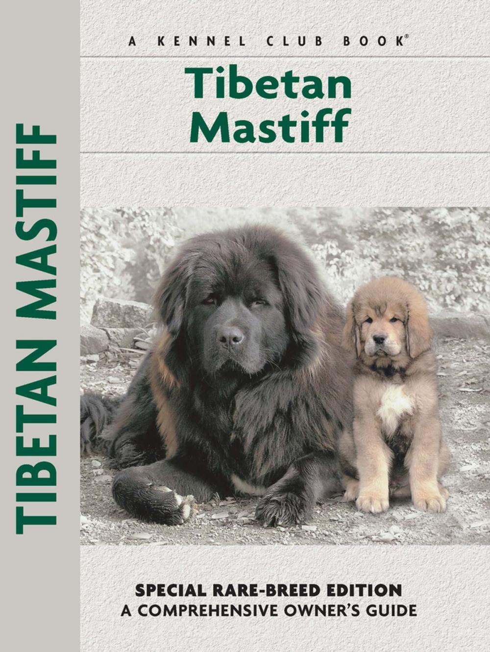 Big bigCover of Tibetan Mastiff