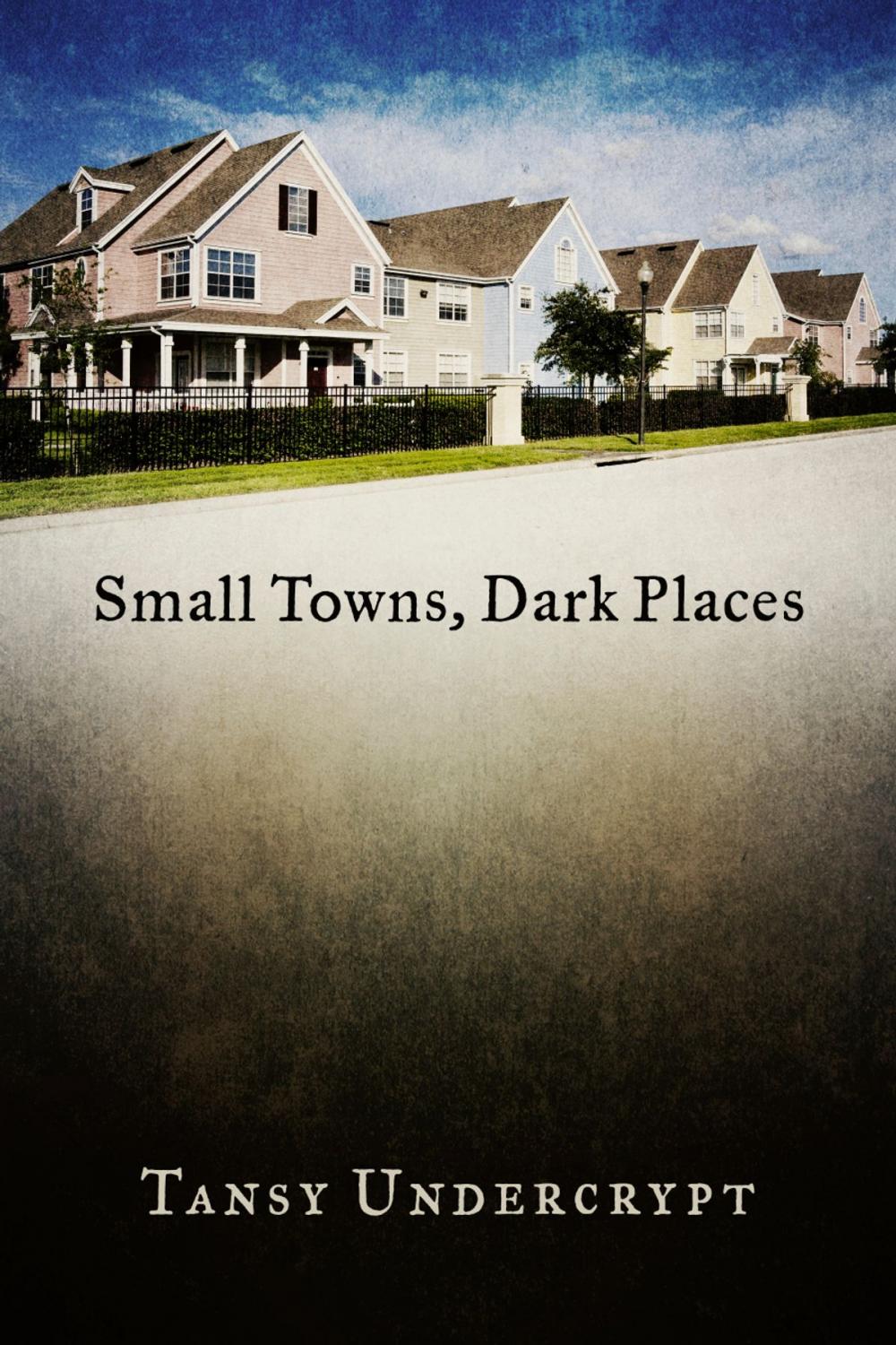 Big bigCover of Small Towns, Dark Places