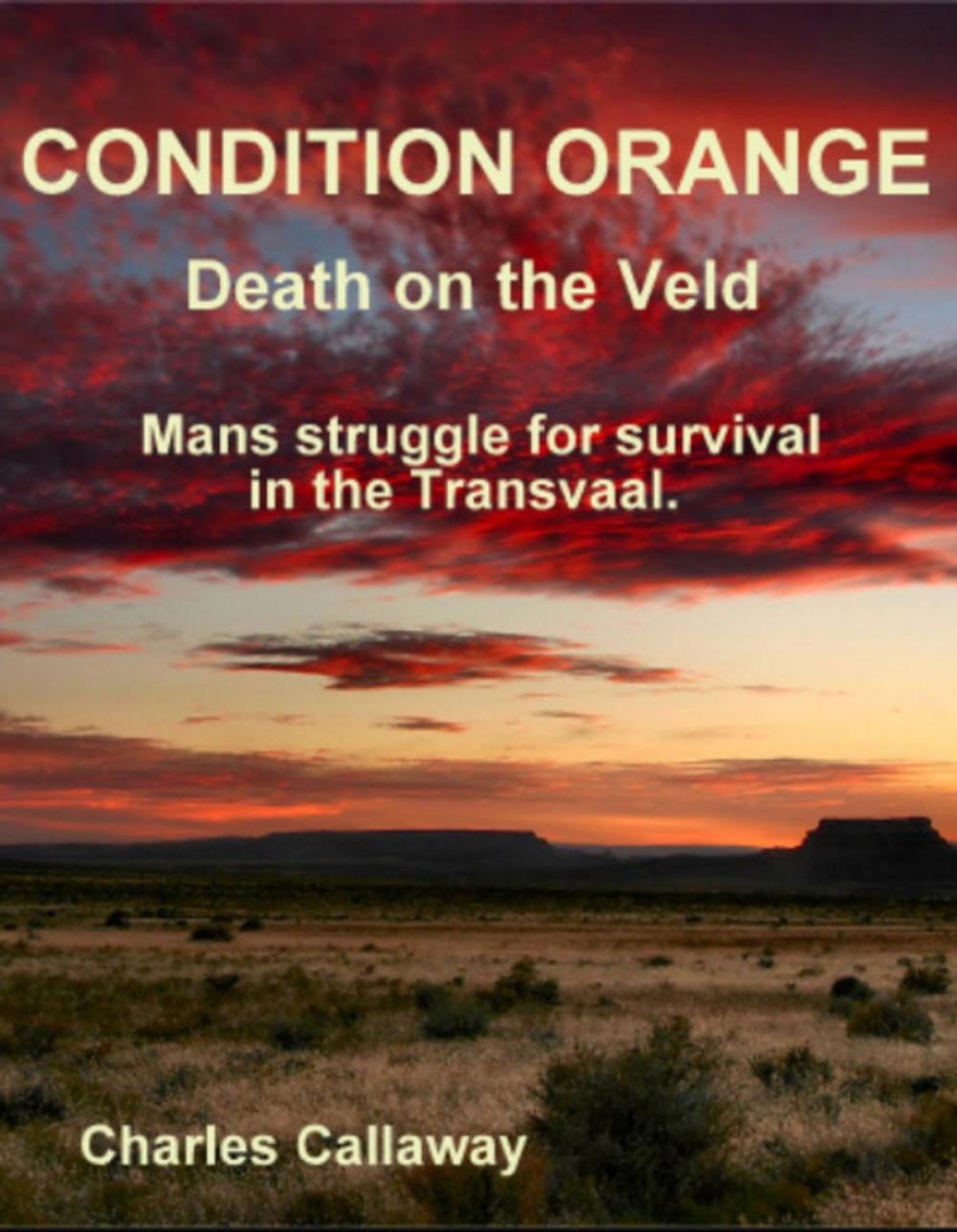 Big bigCover of Condition Orange