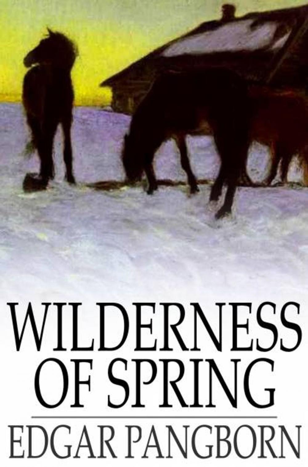 Big bigCover of Wilderness of Spring