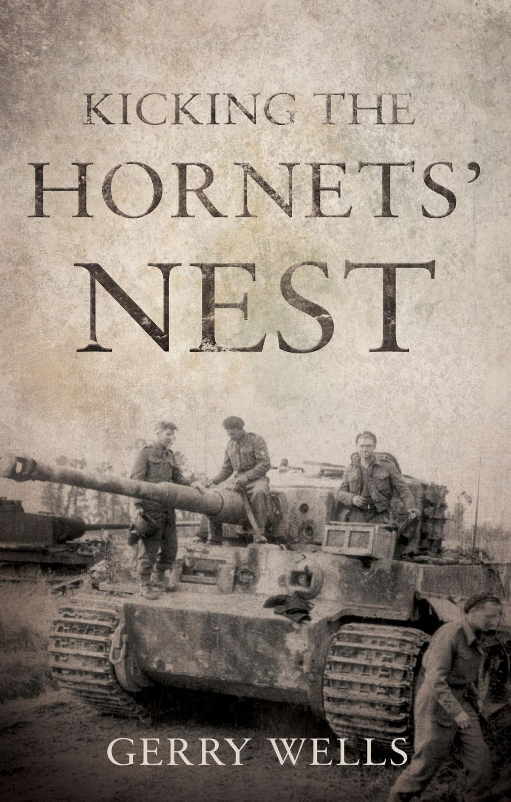 Big bigCover of Kicking the Hornets' Nest