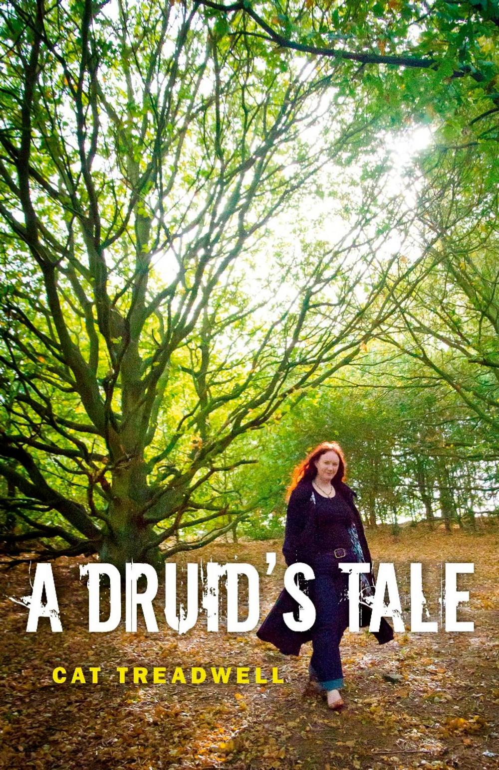 Big bigCover of A Druid's Tale