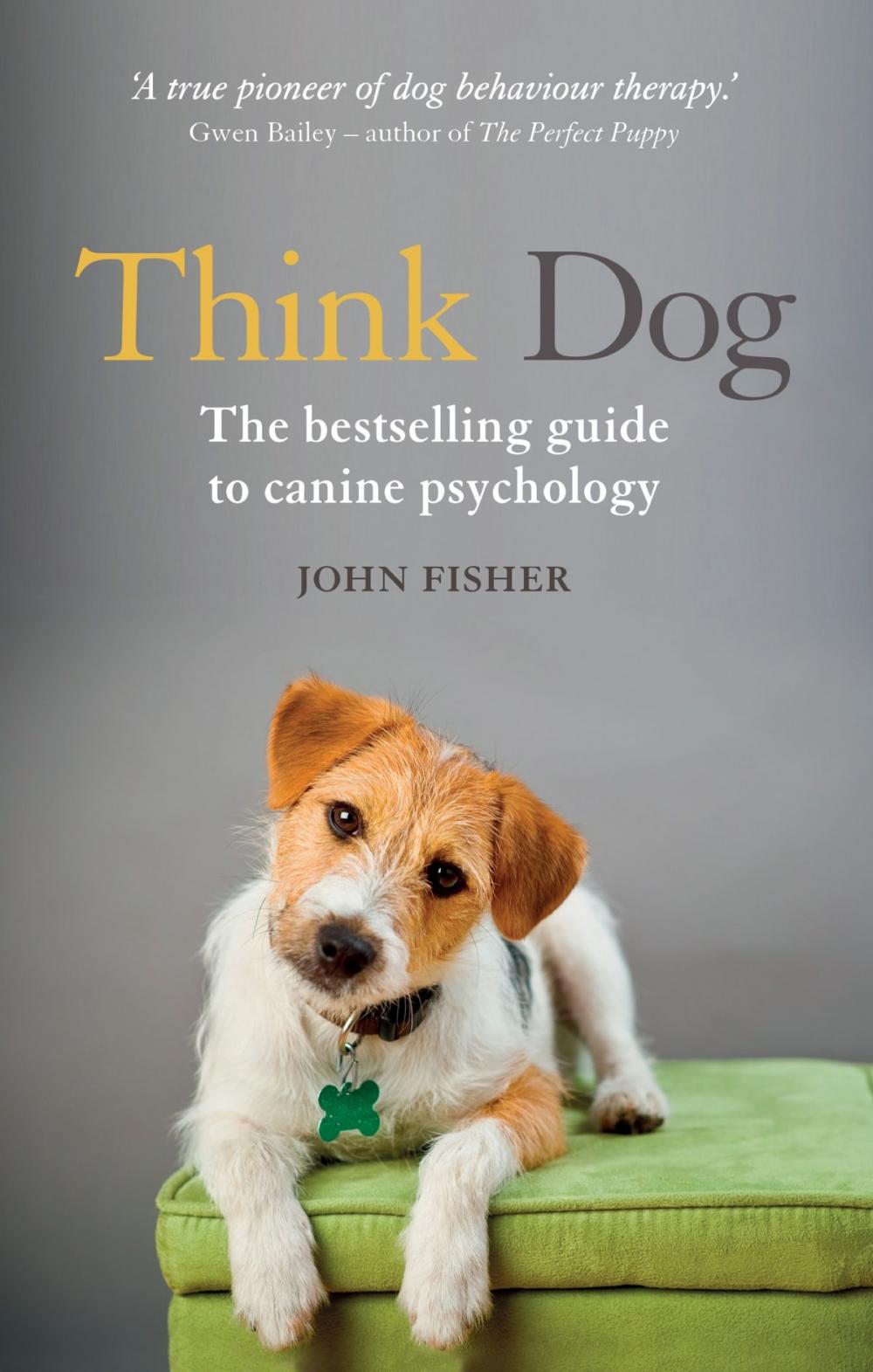 Big bigCover of Think Dog