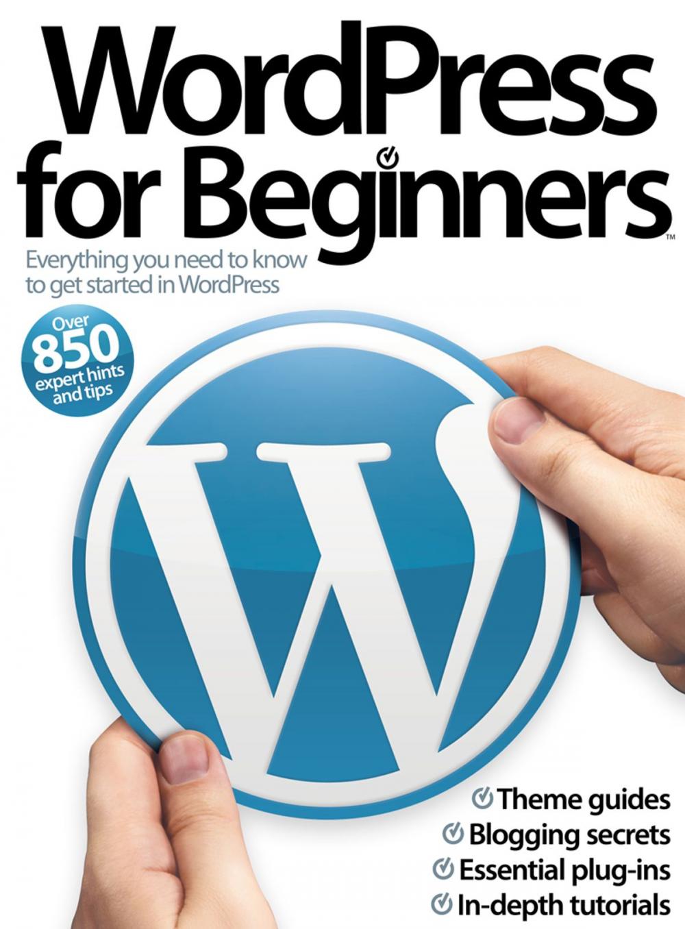 Big bigCover of WordPress for Beginners