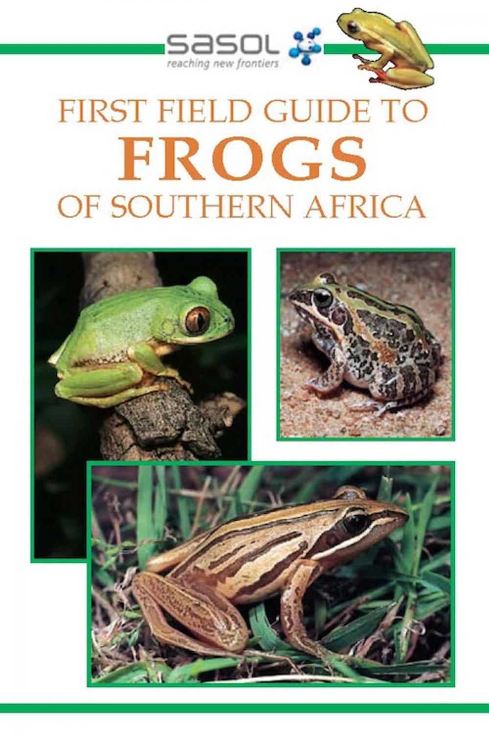 Big bigCover of First Field Guide to Frogs of Southern Africa