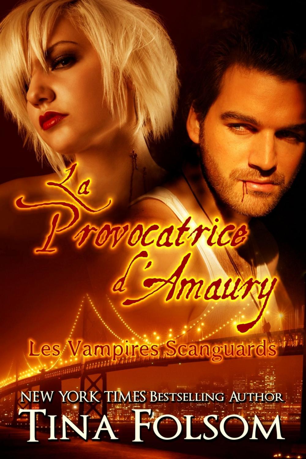 Big bigCover of La provocatrice d'Amaury