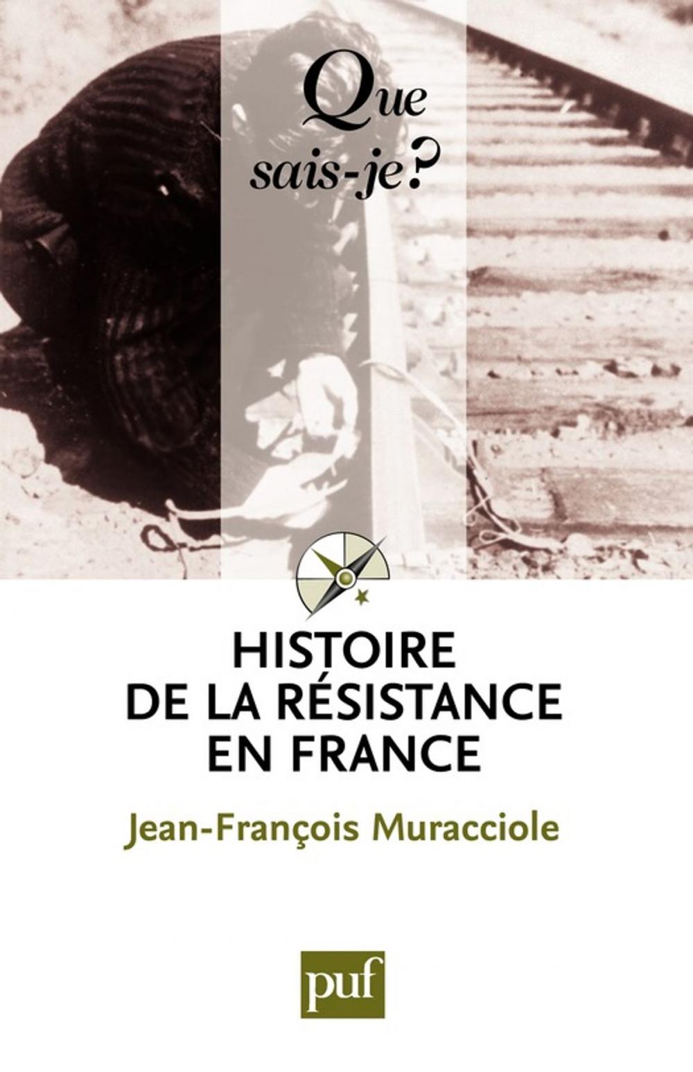 Big bigCover of Histoire de la Résistance en France