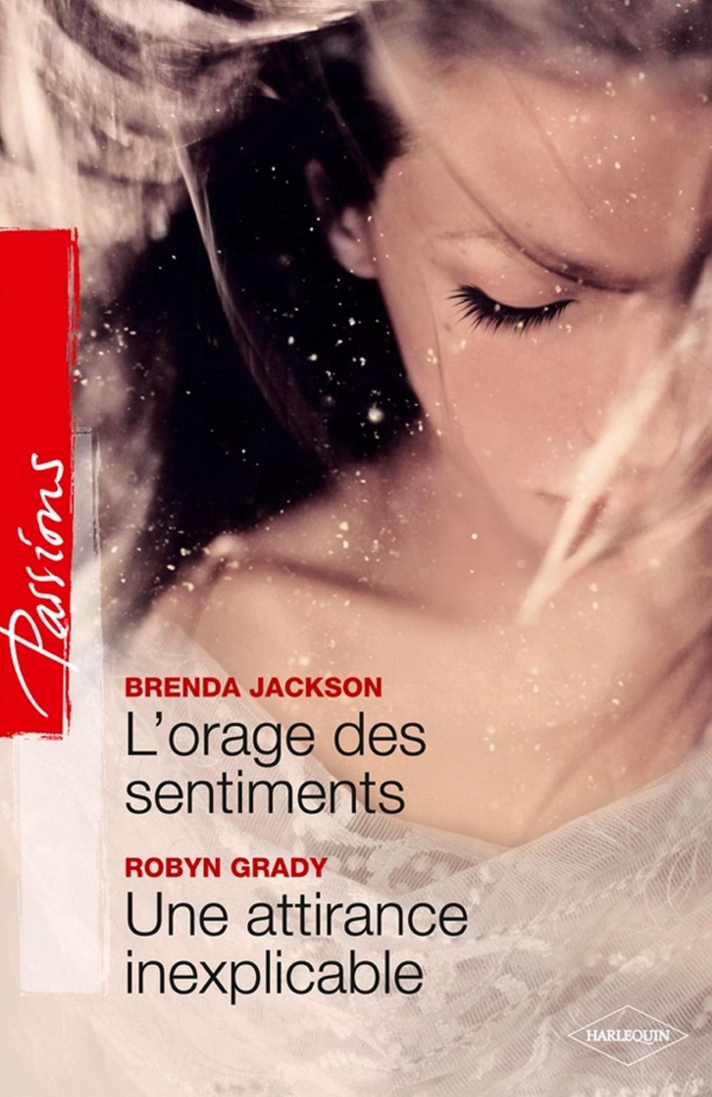 Big bigCover of L'orage des sentiments - Une attirance inexplicable