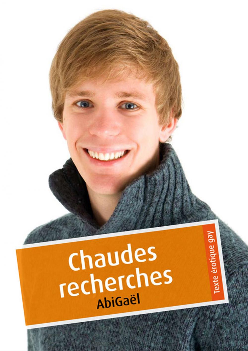Big bigCover of Chaudes recherches (érotique gay)