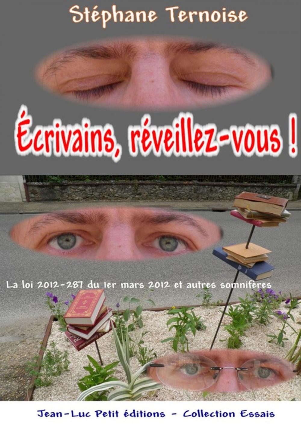 Big bigCover of Écrivains, réveillez-vous !