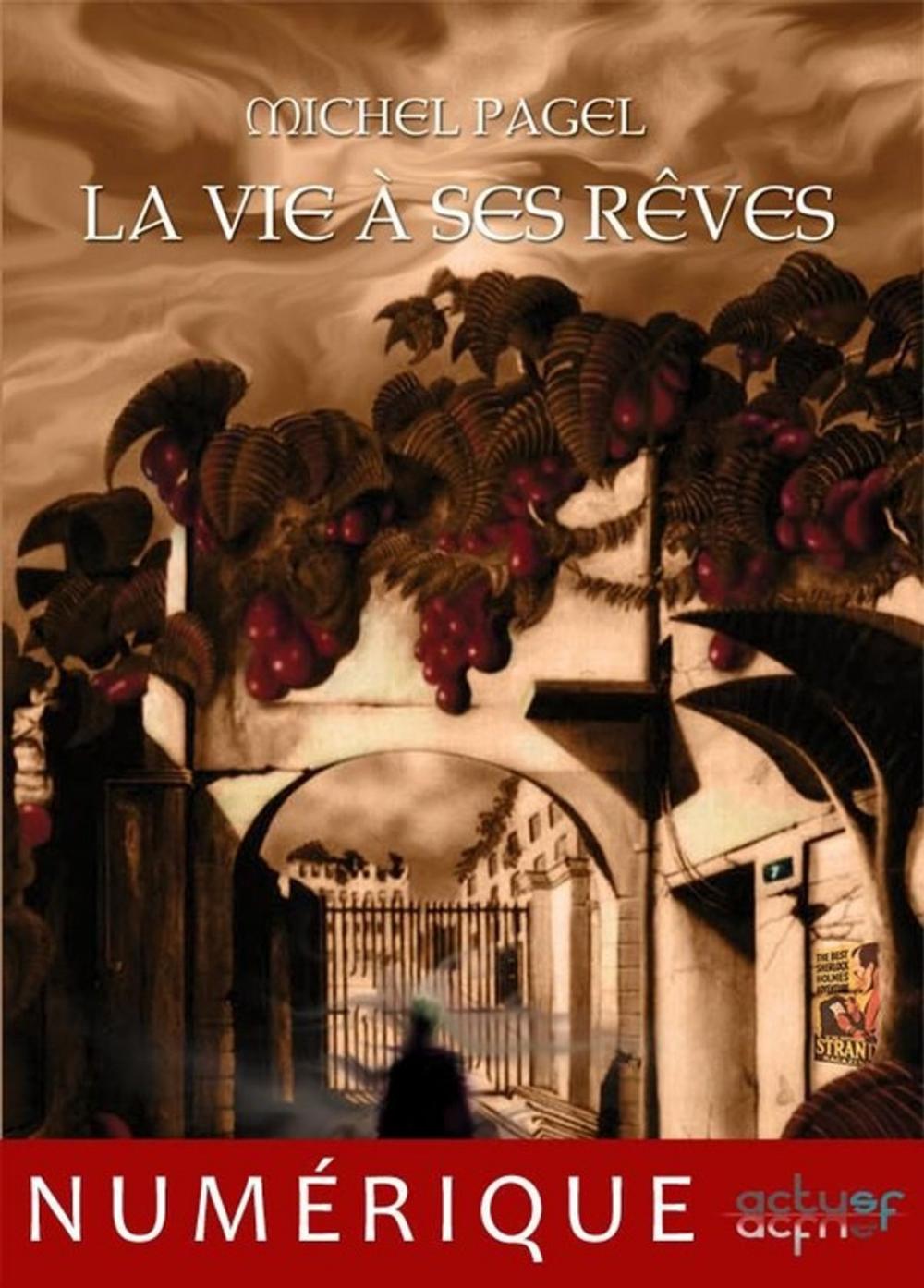 Big bigCover of La vie à ses rêves