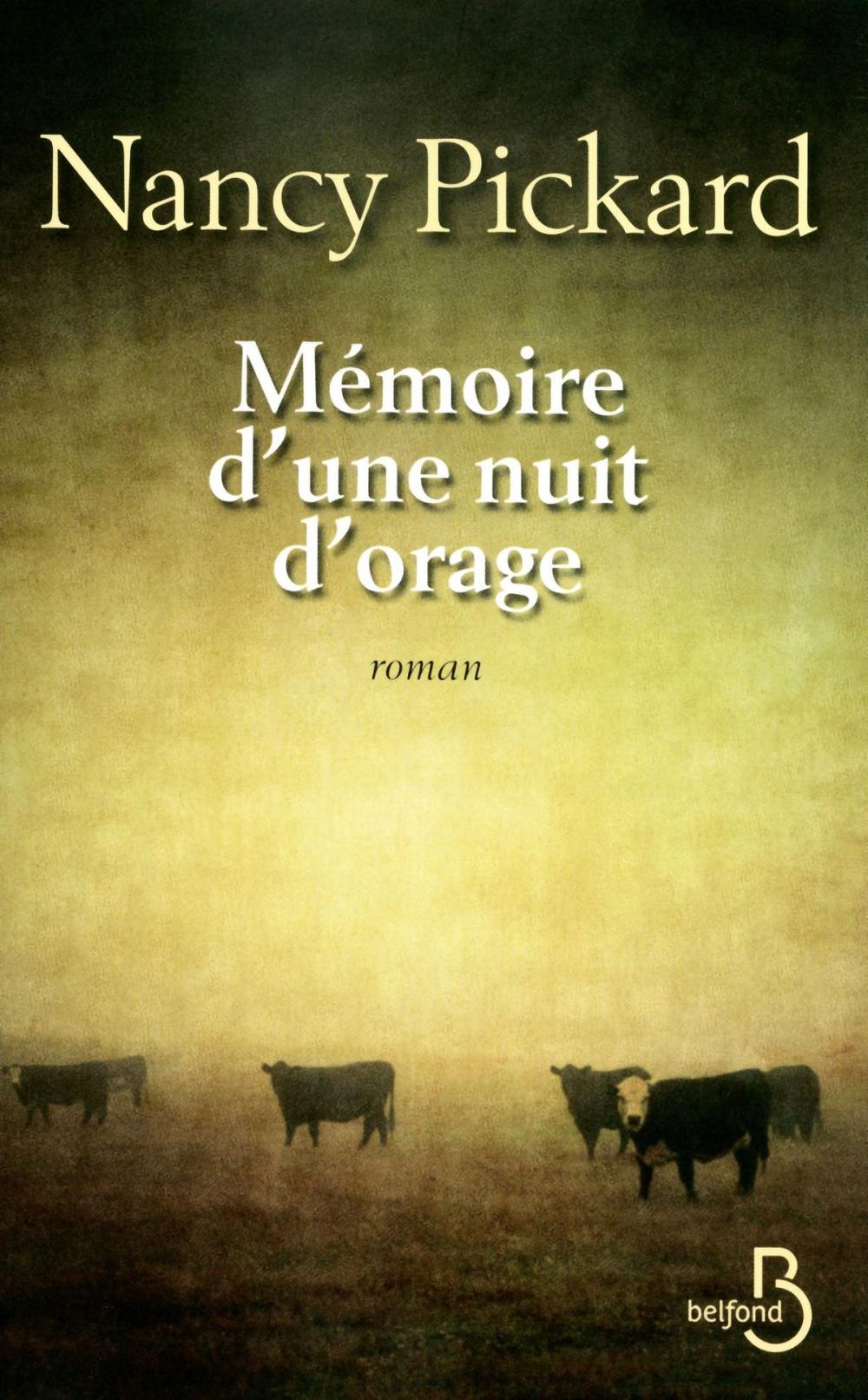 Big bigCover of Mémoire d'une nuit d'orage