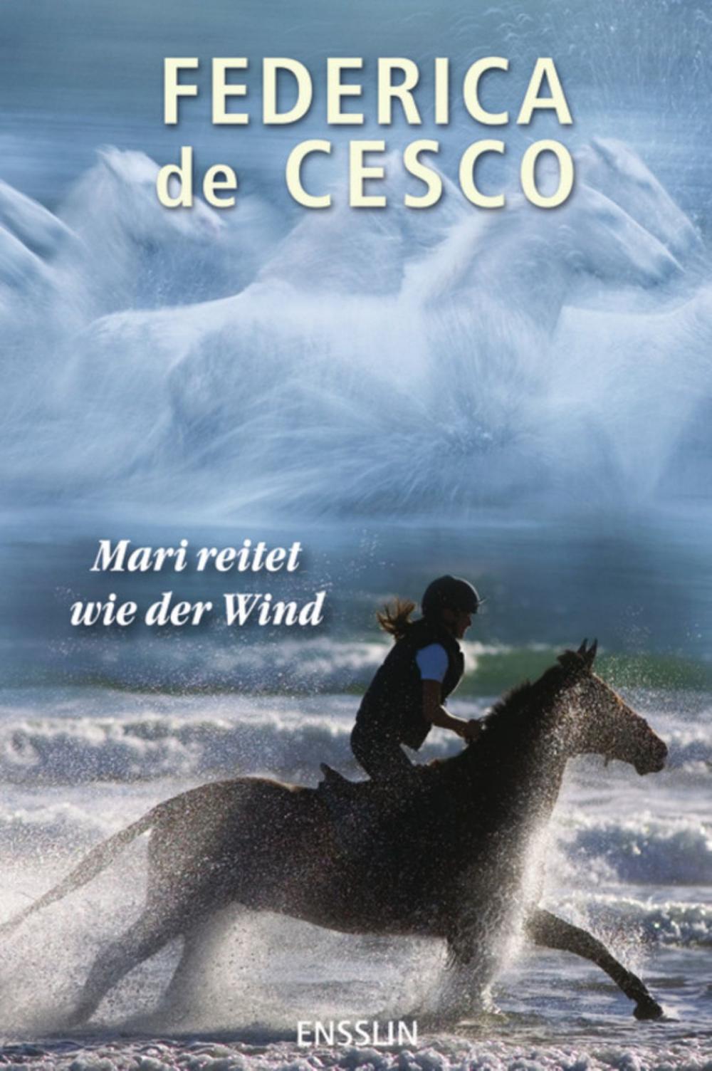 Big bigCover of Mari reitet wie der Wind