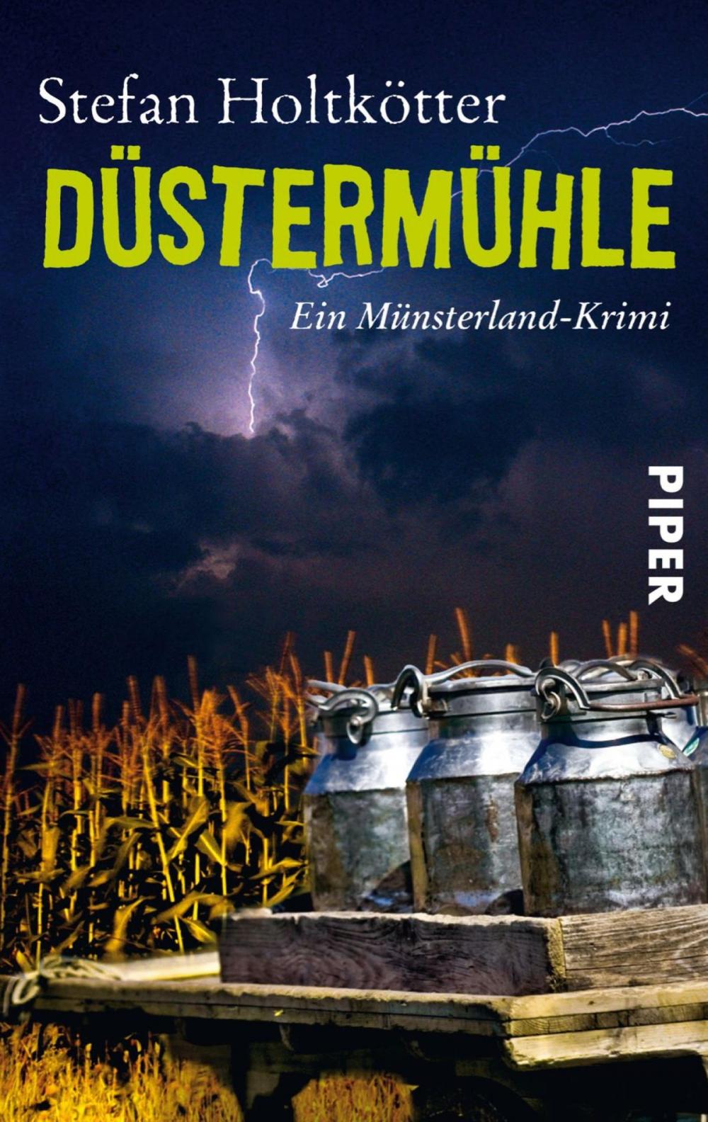 Big bigCover of Düstermühle